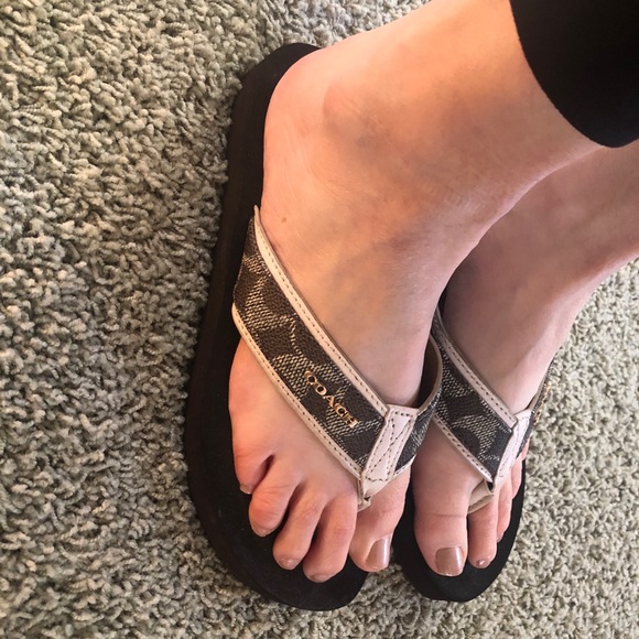 coach flip flop in signature canvas